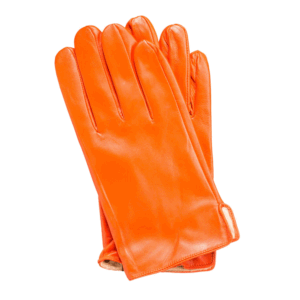 Collection Leather Gloves